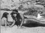 Mermaid Image Royalty Free Public Domain